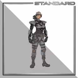 WAFF Standard - #1713