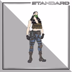 WAFF Standard - #1790