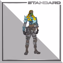 WAFF Standard - #2182