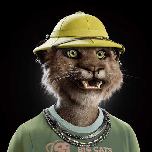 Big Cats Official Collection