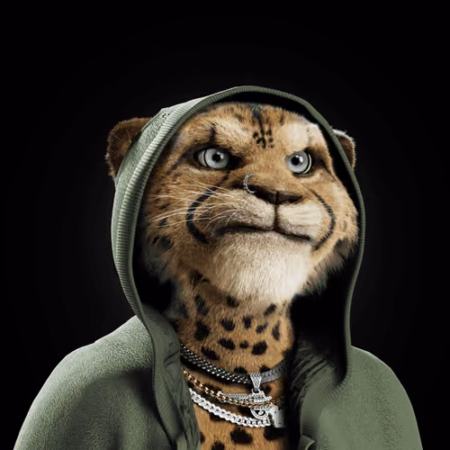 Big Cat #1672