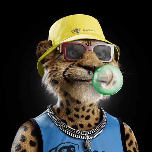Big Cat #1699