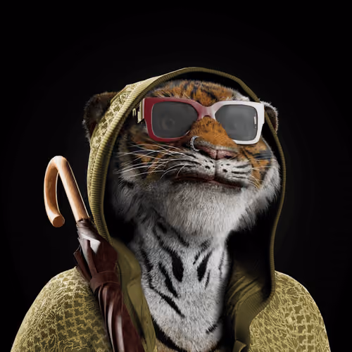 Big Cat #5217