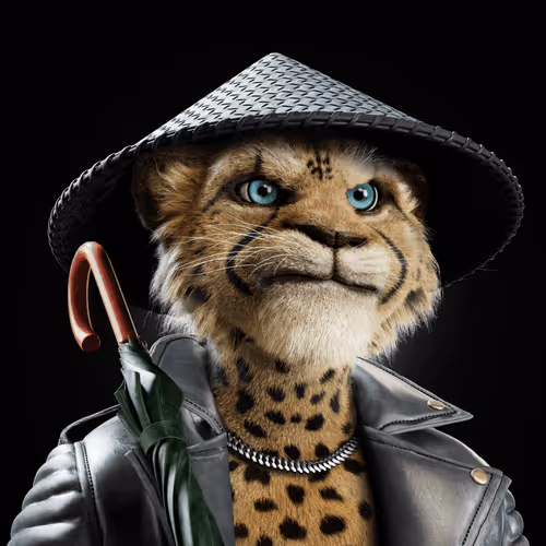 Big Cats Official Collection