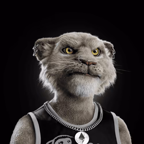 Big Cats Official Collection