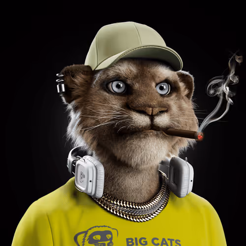 Big Cat #1421