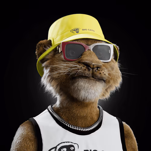 Big Cats Official Collection