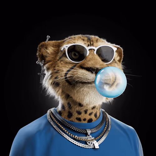 Big Cats Official Collection