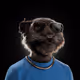 2941