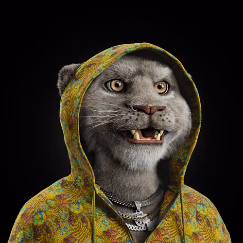 Big Cat #5294