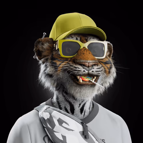 Big Cats Official Collection