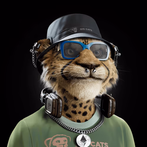 Big Cat #309