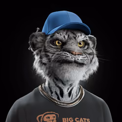 Big Cat #762