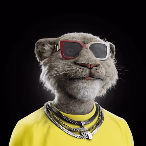 Big Cats Official Collection
