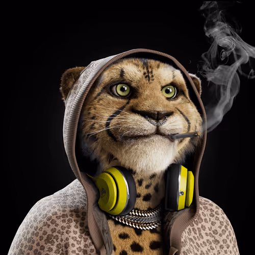 Big Cat #1617