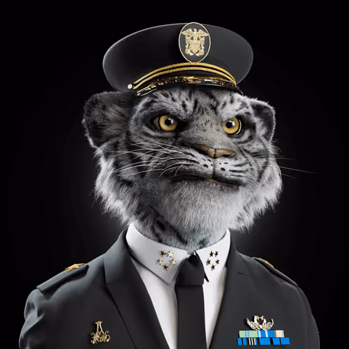 Big Cat #808