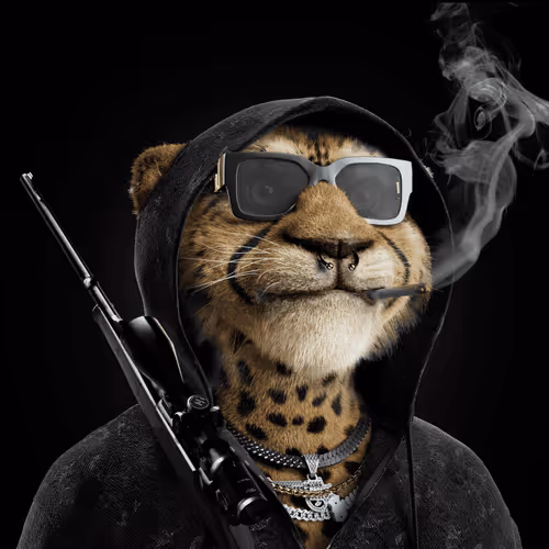 Big Cats Official Collection