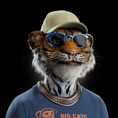 Big Cat #498