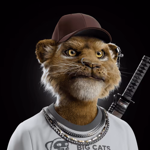 Big Cat #864