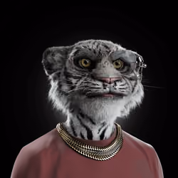 Big Cat #1264