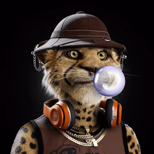 Big Cats Official Collection