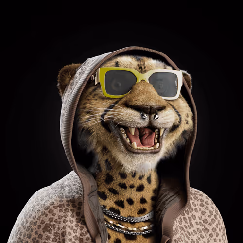 Big Cat #2171