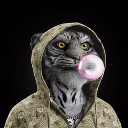 Big Cat #1830