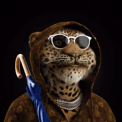 Big Cat #772