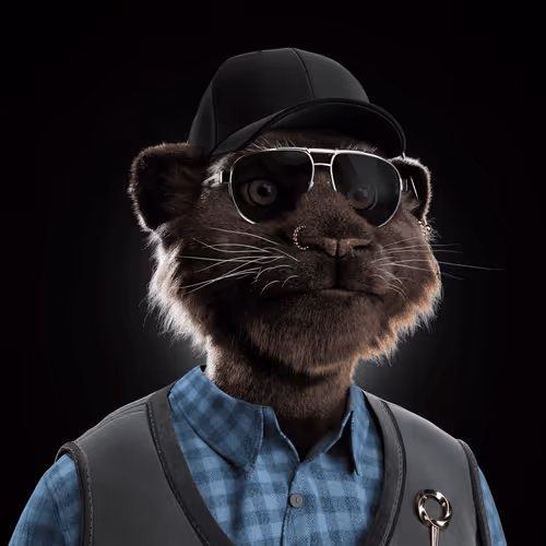 Big Cats Official Collection