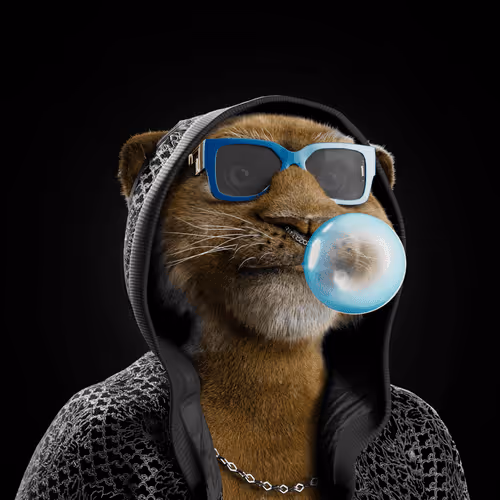 Big Cat #1378