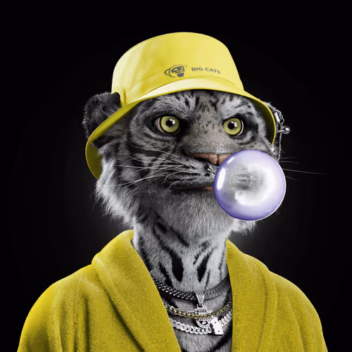Big Cat #3457