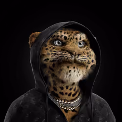 Big Cat #4768