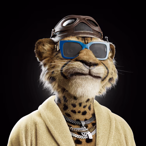 Big Cat #1828