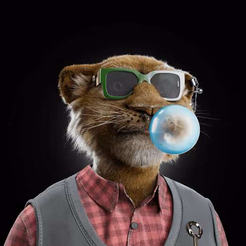 Big Cats Official Collection