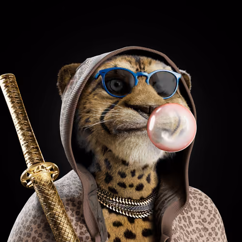 Big Cat #1711