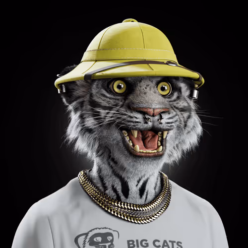 Big Cat #1660