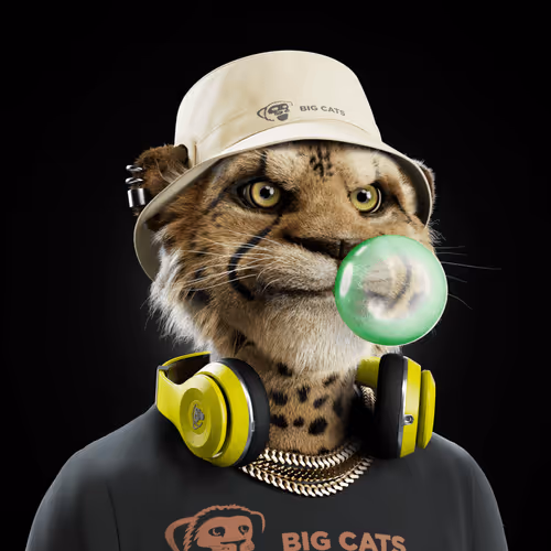 Big Cat #314