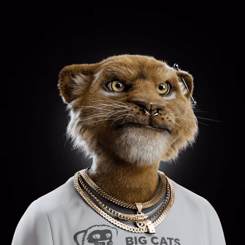 Big Cat #1166