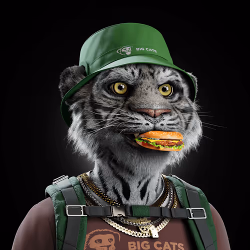 Big Cats Official Collection