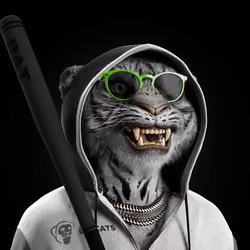 Big Cat #1564