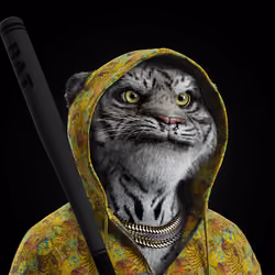 Big Cat #4805
