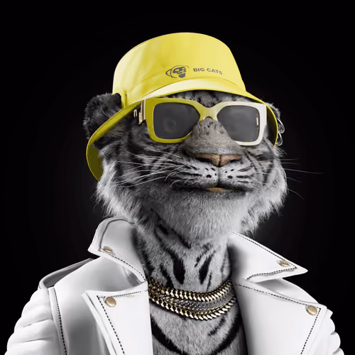 Big Cat #571