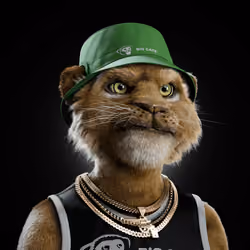 Big Cat #2384