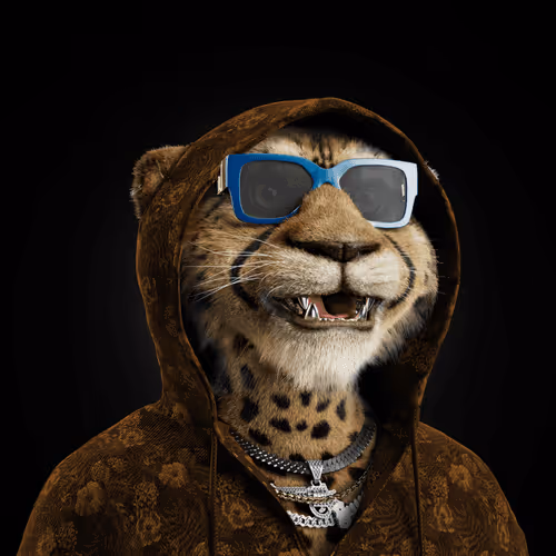 Big Cat #716