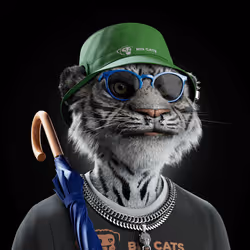 Big Cat #4886