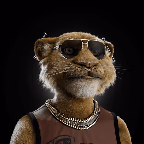 Big Cats Official Collection