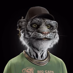 Big Cat #1885