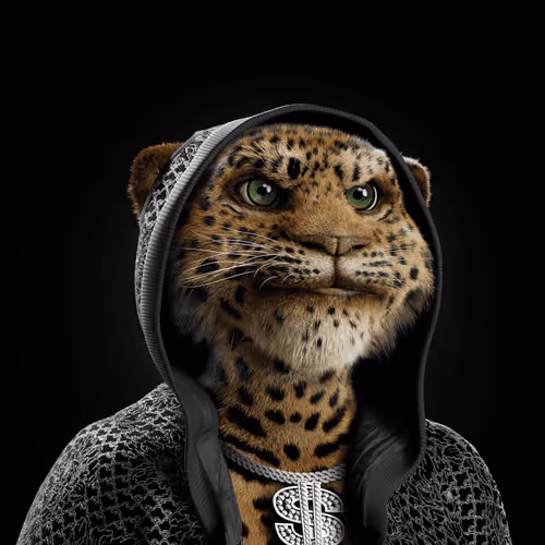 Big Cats Official Collection