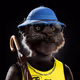 2803
