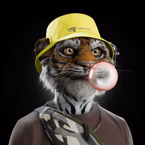 Big Cats Official Collection
